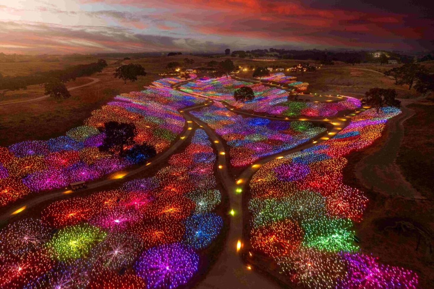 Lichtkunstwerk 'Field of Light' van Bruce Munro in Australië, Verenigd Koninkrijk en de Verenigde Staten