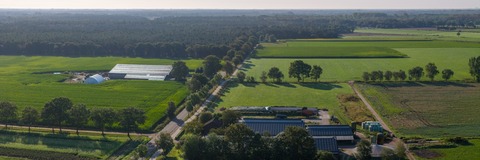 Luchtfoto Bergeijksedijk in Valkenswaard