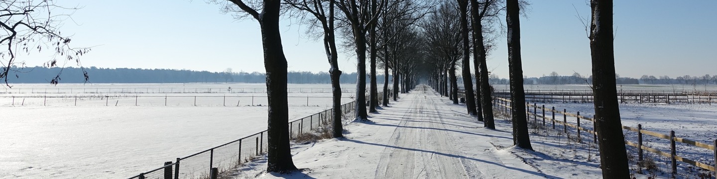 Winters landschap met paard aan hek