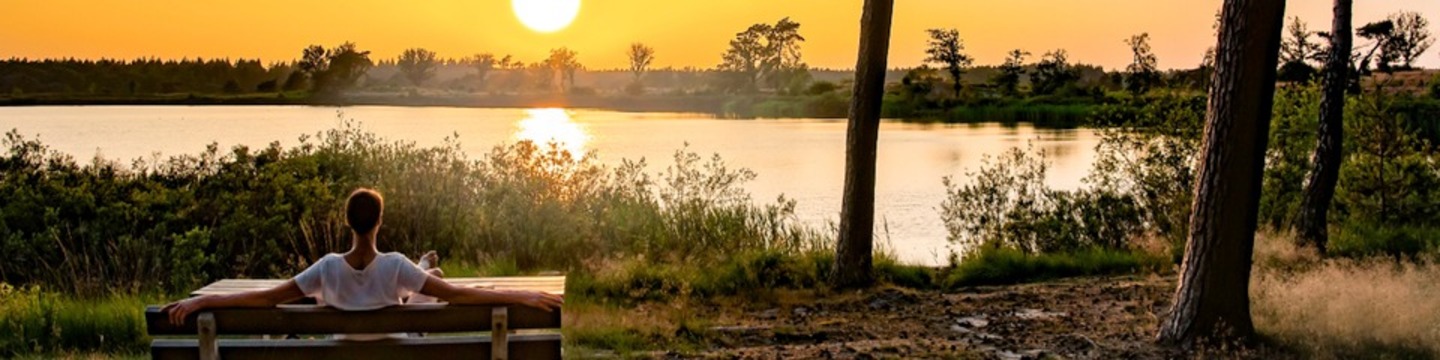 Winnende lentefoto van een zonnig Malpieven