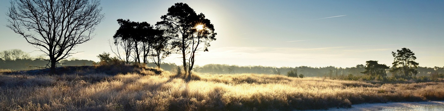 Malpie in winterse sferen