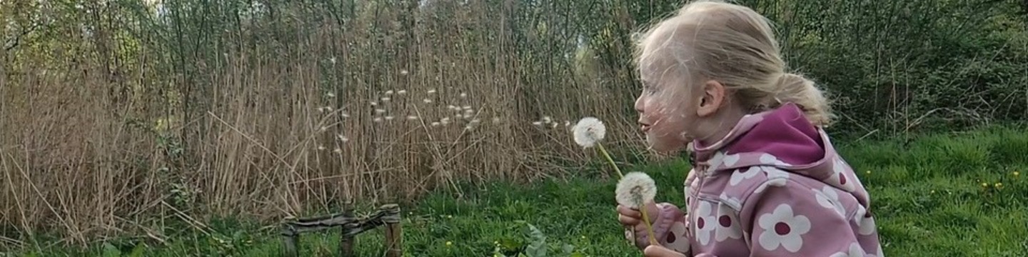 Spelen met blaasbloemen